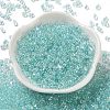 AB Color Plated Glass Seed Beads SEED-L011-06B-06-2