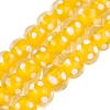 Handmade Lampwork Beads Strands LAMP-N037-05E-1