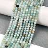 Natural Flower Amazonite Beads Strands G-M438-A08-01-2