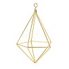 Iron Plant Hangers X-IFIN-N012-02G-1