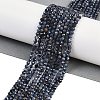 Natural Sapphire Beads Strands G-F782-B01A-02-2