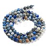 Natural Lapis Lazuli Beads Strands X-G-J400-D03-01A-5