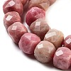 Natural Rhodonite Beads Strands G-H028-A07-01-4