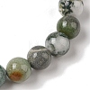 8mm Round Natural Tree Agate Braided Bead Bracelets BJEW-C067-01B-01-3