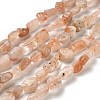 Natural Sunstone Beads Strands G-P497-01E-81A-1