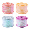 4 Rolls 4 Colors Polyester Iridescent Ribbon OCOR-TA0004-10-1