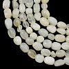 Natural New Jade Beads Strands GG-C286-A21-3