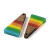 Pride Rainbow Theme Resin & Walnut Wood Pendants WOOD-K012-10C-2