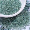MIYUKI Round Rocailles Beads SEED-G007-RR0277-1