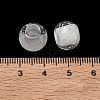 Transparent Resin European Beads RESI-F073-19-3