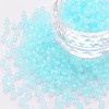 8/0 Transparent Glass Seed Beads SEED-S048-P-003-1