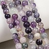 Natural Fluorite Beads Strands G-P530-B04-02A-1