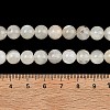 Natural White Moonstone Beads Strands G-C277-A01-8mm-5