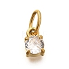 304 Stainless Steel Rhinestone Charms STAS-M109-06G-12-1