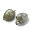 Natural Labradorite Pendants GG-K002-13M-2