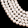Electroplated Shell Pearl Beads Strands BSHE-C011-01B-3