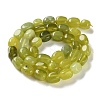 Natural Lemon Jade Beads Strands G-P497-01D-04-3
