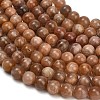 Natural Sunstone Beads Strands GG-CBA15F7-10mm-3