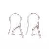 Brass Earring Hooks KK-R037-05P-A-1