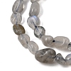 Natural Labradorite Nuggets Beads Strands G-J335-40-4