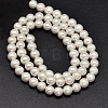 Round Shell Pearl Matte Surface Bead Strands BSHE-M011-08-6mm-2