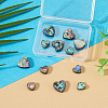 12Pcs 2 Styles Natural Abalone Shell/Paua Shell Beads SHEL-TA0001-41-4