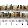 Natural Black Lip Shell Beads Strands BSHE-G038-04-5