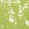 Baking Paint Glass Seed Beads X-SEED-S042-05B-62-3