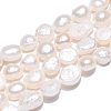 Natural Cultured Freshwater Pearl Beads Strands PEAR-N014-06A-3