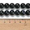 Natural Black Labradorite Beads Strands G-L642-B15-10mm-5