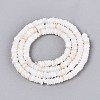 Natural Freshwater Shell Beads Strands SHEL-Q028-01A-2