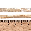 Natural Trochid Shell/Trochus Shell Beads Strands SHEL-A006-06B-4