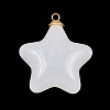 304 Stainless Steel Resin Pendants STAS-K322-11C-G-2
