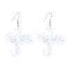 Alloy Acrylic Dangle Earrings FS-WG82E0C-05-1
