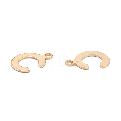 201 Stainless Steel Charms STAS-C021-06G-C-1