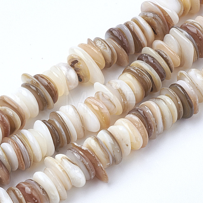 Natural Shell Beads Strands X-SSHEL-Q298-13-1