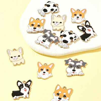 12Pcs 6 Styles Alloy Pendant ENAM-FS0001-81-1