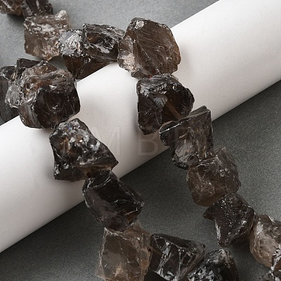 Natural Smoky Quartz Beads Strands G-S386-C08-1