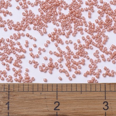 MIYUKI Delica Beads SEED-J020-DB1363-1