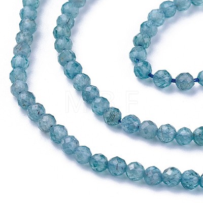 Natural Apatite Beads Strands G-F619-13A-3mm-1