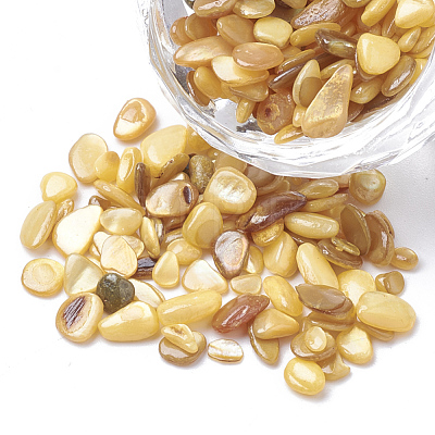 Shell Beads SHEL-R020-02-1
