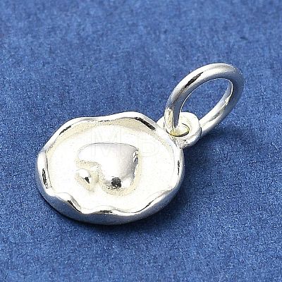 Sterling Silver Charms STER-E070-03B-1