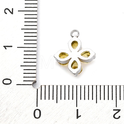 304 Stainless Steel Micro Pave Cubic Zirconia Pendants LS-STAS-U042-06P-04-1