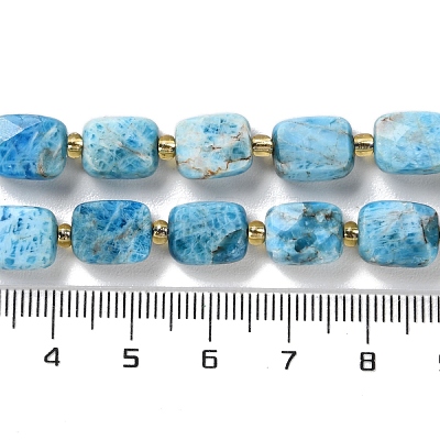 Natural Apatite Beads Strands G-H061-A04-01-1