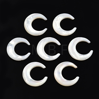 Natural White Shell Connector Charms SSHEL-N034-159-1