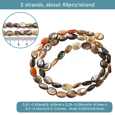2 Strands Natural Paua Shell Beads Strands BSHE-PA0001-09-1