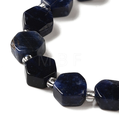 Natural Sodalite Beads Strands G-P534-A11-02-1
