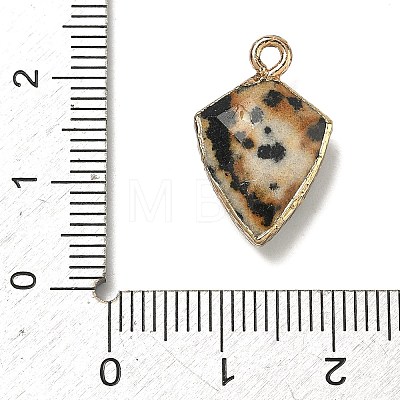 Natural Dalmatian Jasper Pendants G-K422-01G-03-1