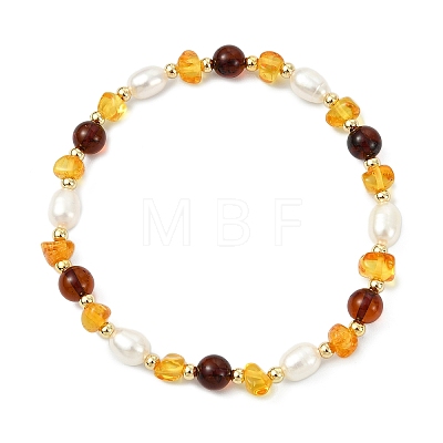 Natural Amber & Cultured Freshwater Pearl Beaded Stretch Bracelets for Women BJEW-JB13699-02-1