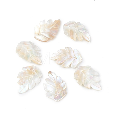 Natural Sea Shell Pendants SSHEL-K001-002-1